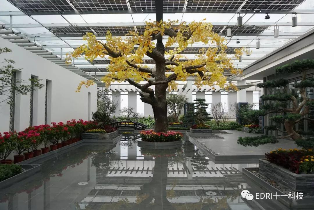 1538272355882608.jpg 2.jpg