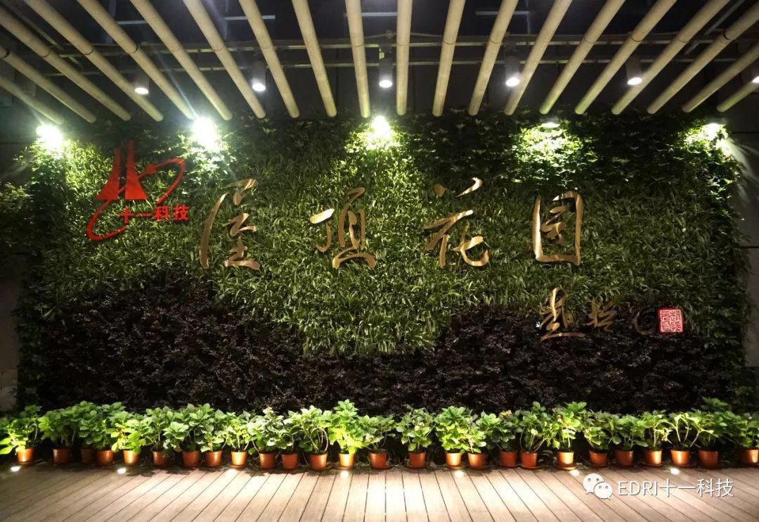 1538272472421291.jpg 10.jpg